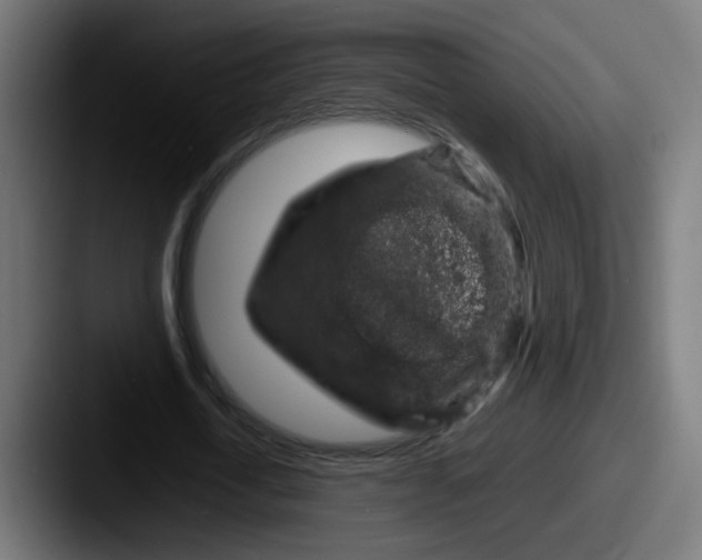 X0000087560722200705181124