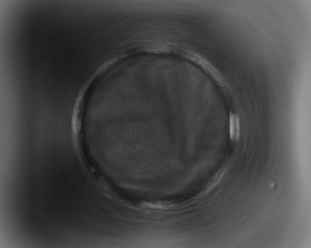 X0000087560723200705181124