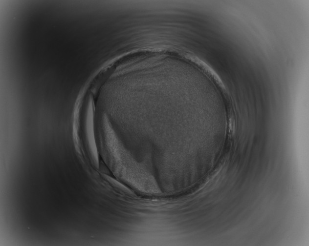 X0000087560724200705181124