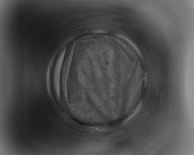 X0000087560725200705181124
