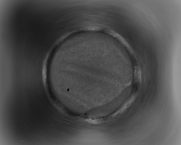 X0000087560726200705181124