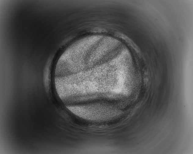 X0000087560727200705181124
