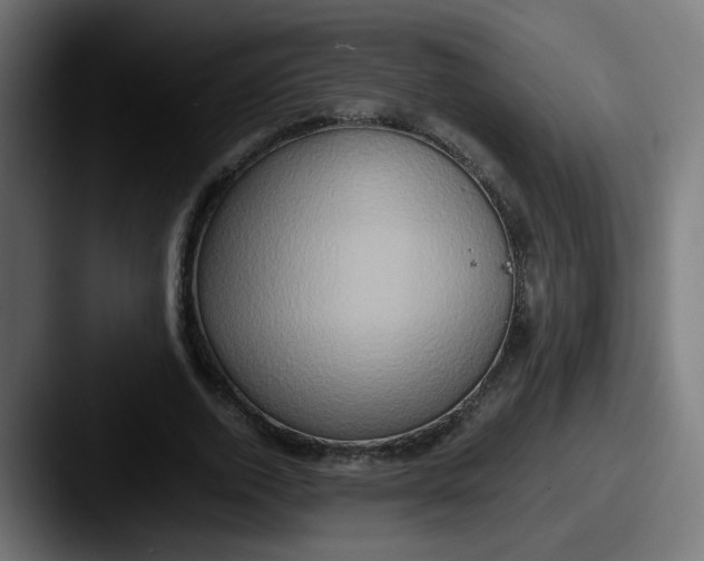 X0000087560728200705181124
