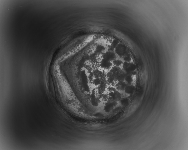 X0000087560729200705181124