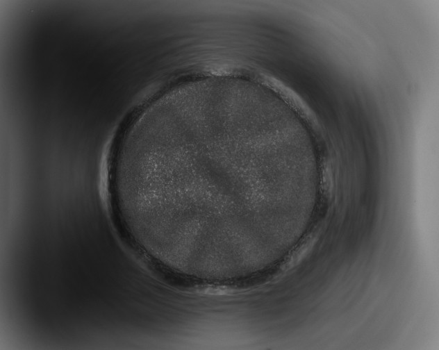 X0000087560730200705181124