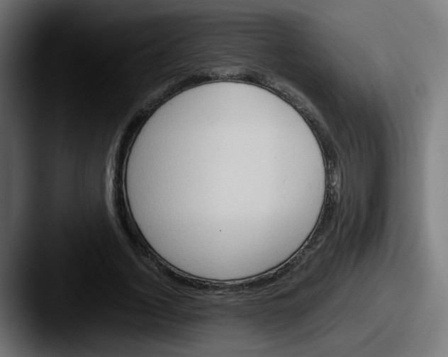 X0000087560732200705181124