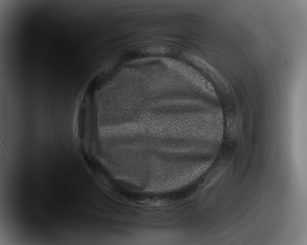 X0000087560735200705181124
