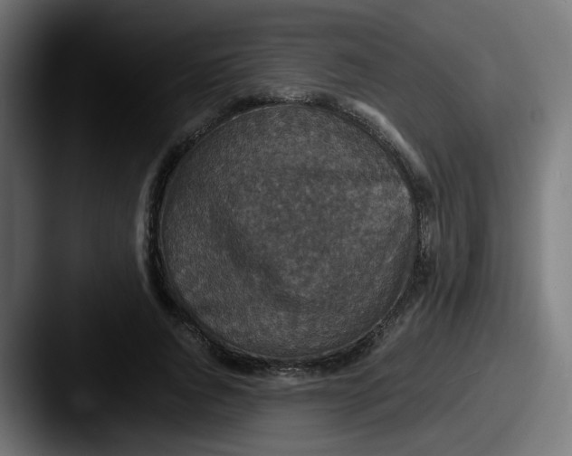 X0000087560736200705181124