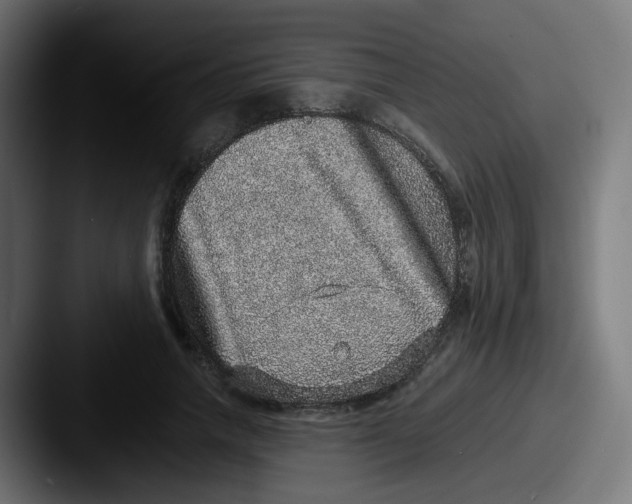 X0000087560738200705181124