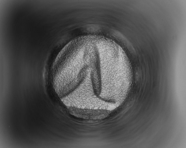 X0000087560739200705181124