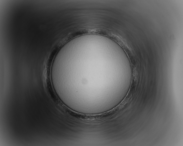X0000087560740200705181124