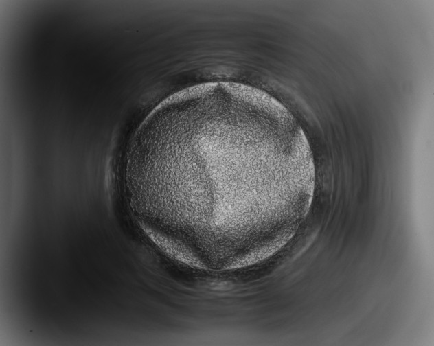 X0000087560743200705181124