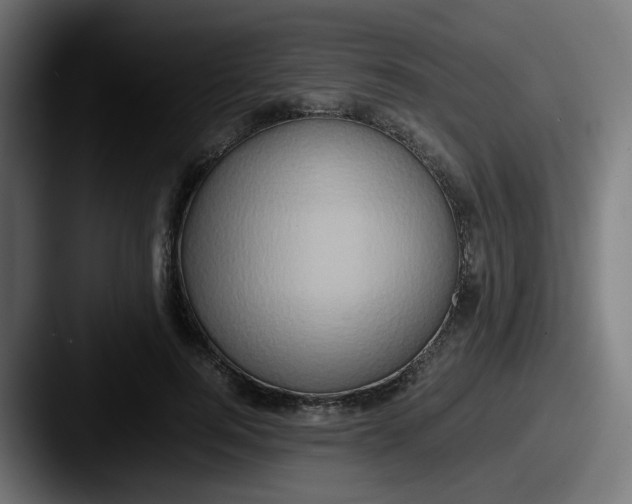 X0000087560744200705181124