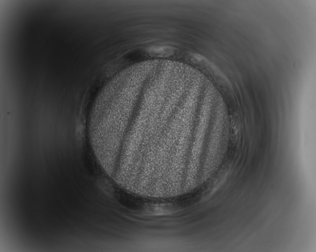 X0000087560745200705181124