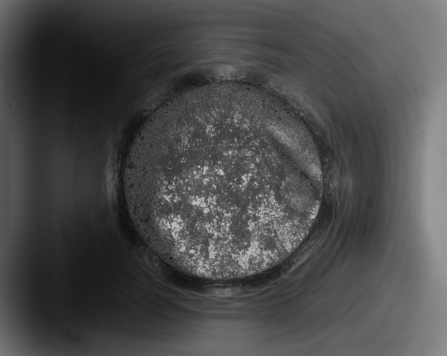 X0000087560746200705181124