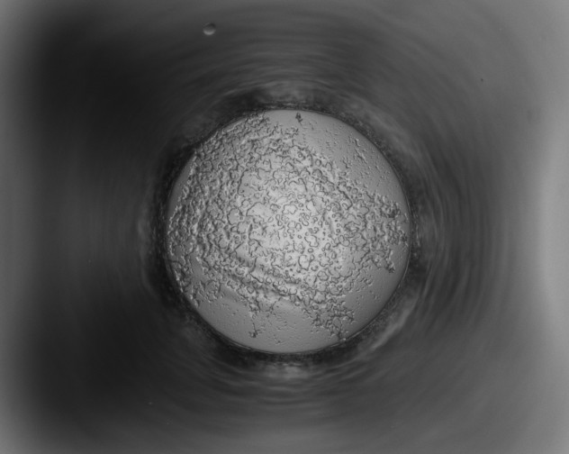 X0000087560751200705181124