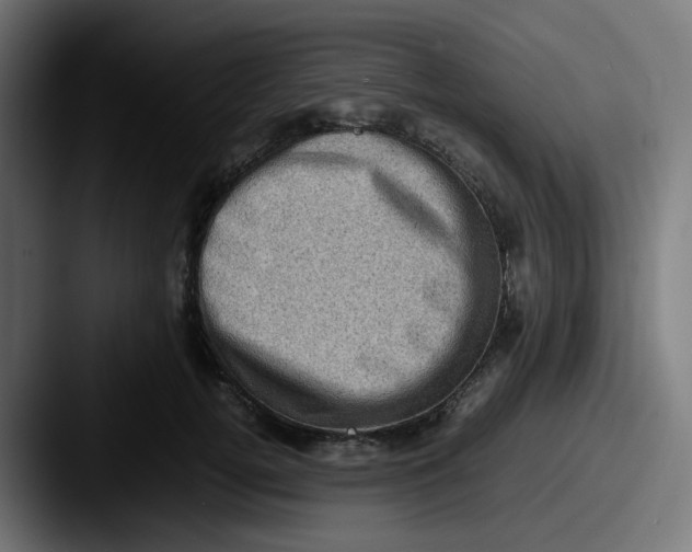 X0000087560752200705181124