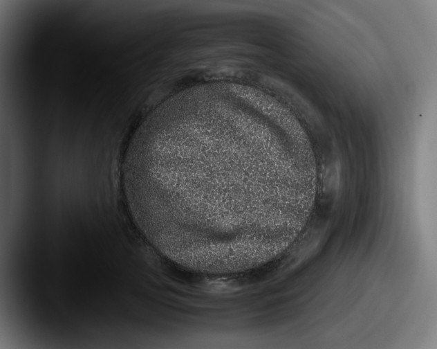 X0000087560753200705181124