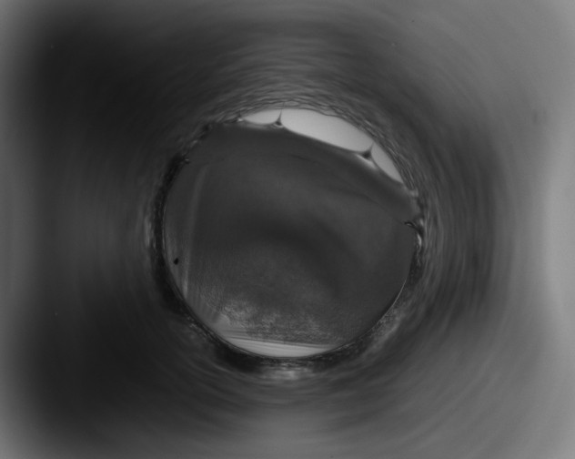 X0000087560754200705181124