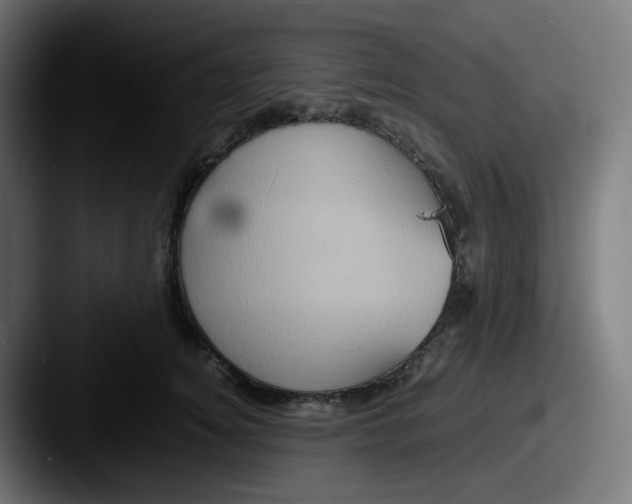 X0000087560756200705181124
