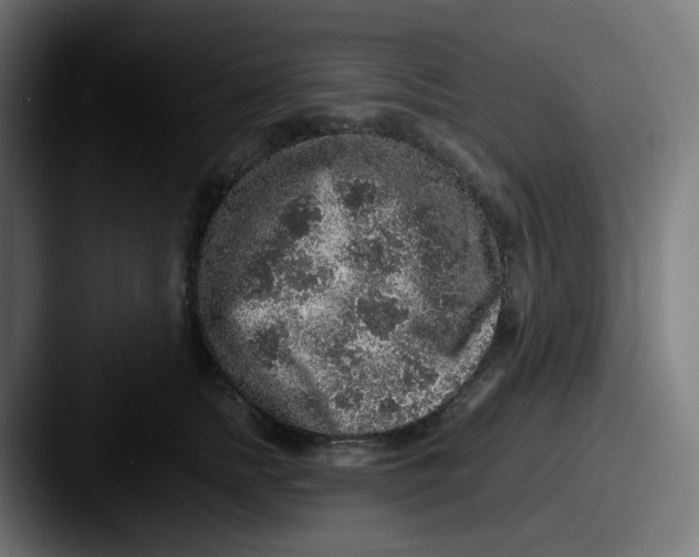 X0000087560758200705181124