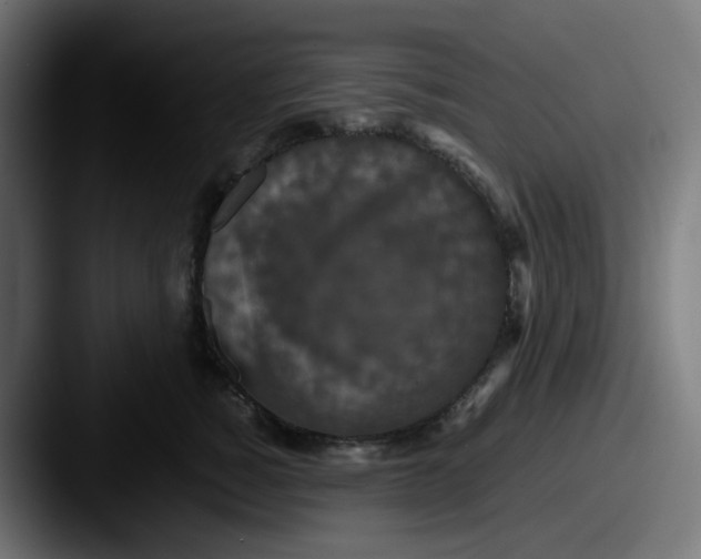 X0000087560760200705181124