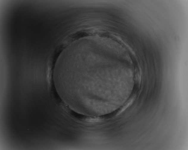X0000087560767200705181124