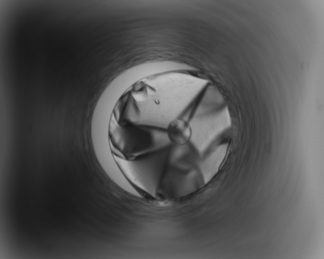 X0000087560768200705181124