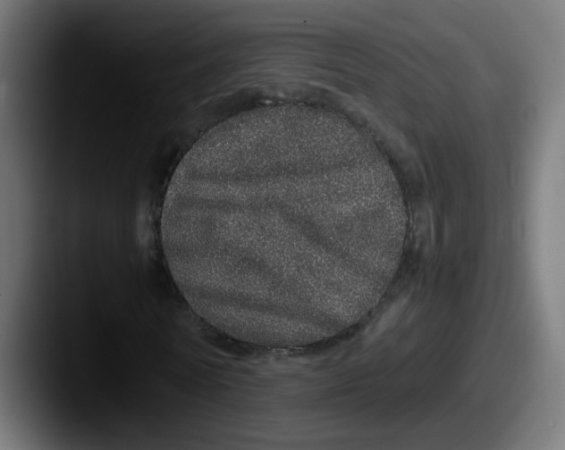 X0000087560770200705181124