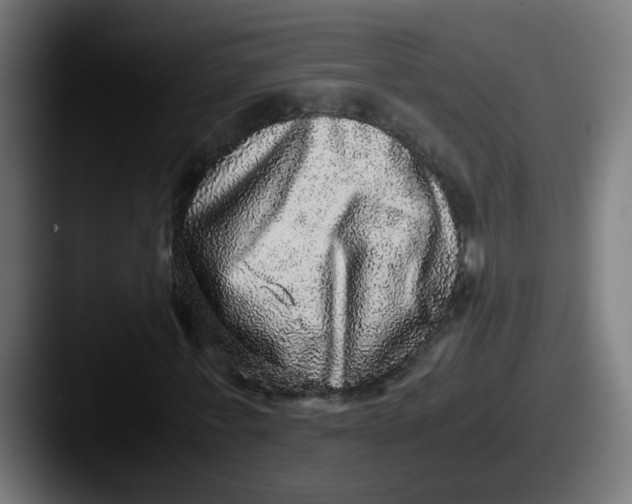 X0000087560771200705181124