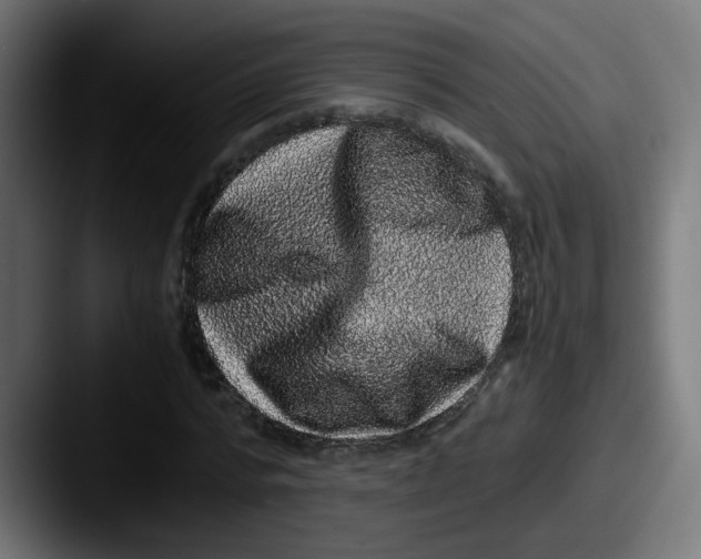 X0000087560776200705181124