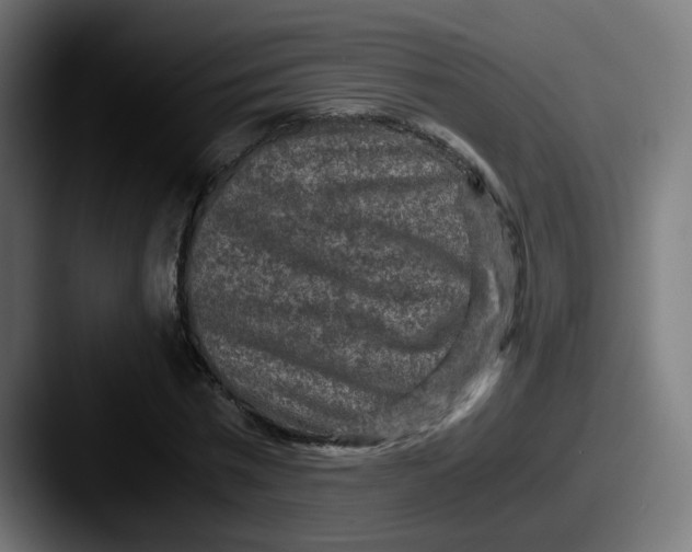 X0000087560777200705181124