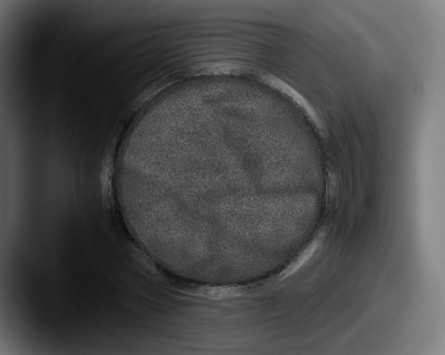 X0000087560778200705181124