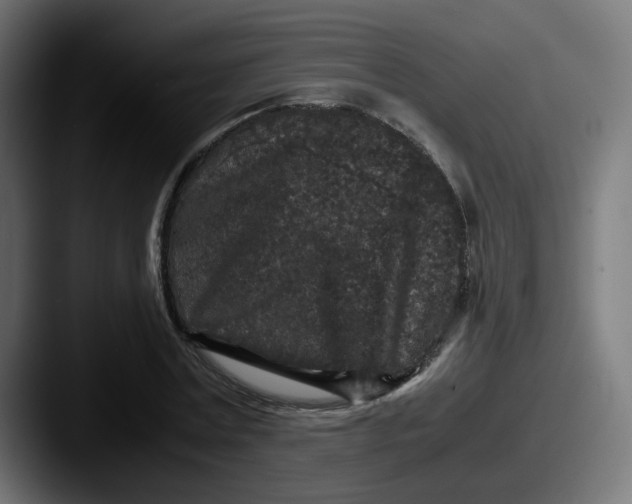 X0000087560779200705181124