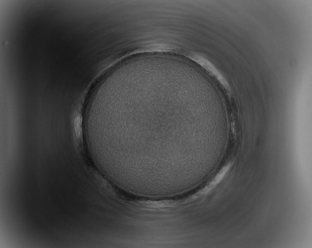 X0000087560781200705181124