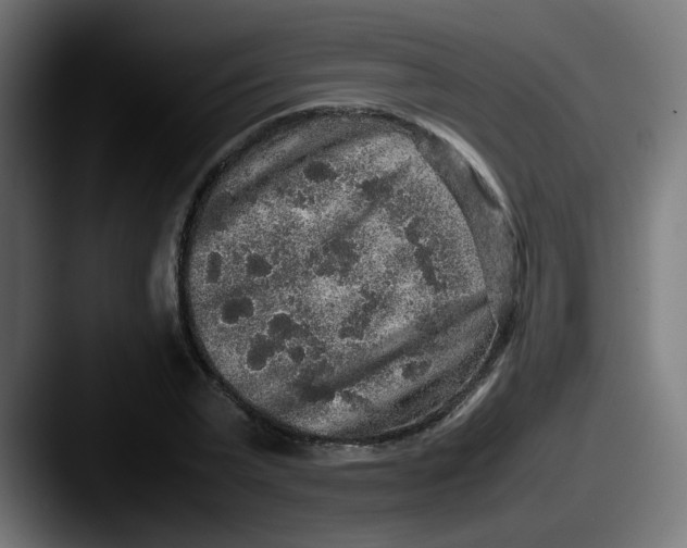 X0000087560783200705181124