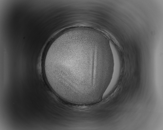 X0000087560784200705181124