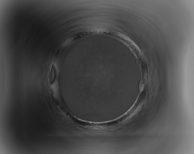 X0000087560785200705181124