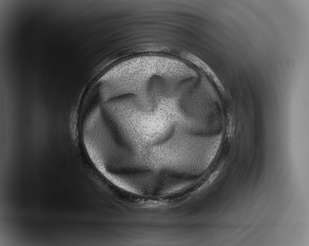 X0000087560786200705181124