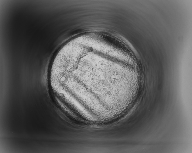 X0000087560787200705181124