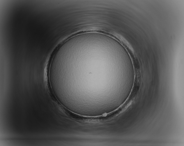 X0000087560789200705181124