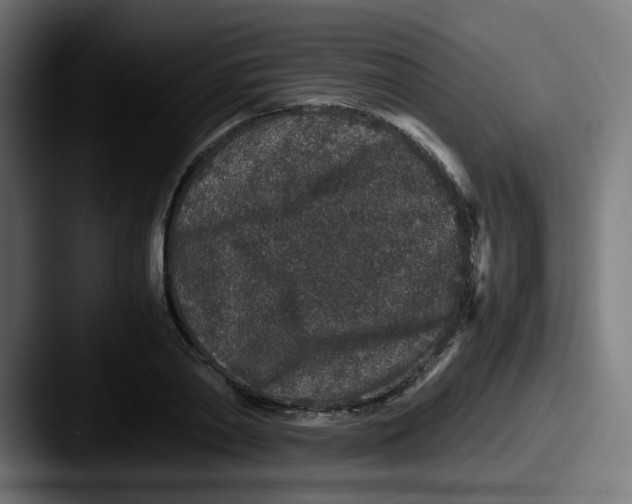 X0000087560790200705181124
