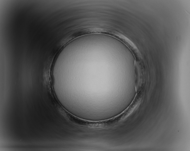 X0000087560793200705181123