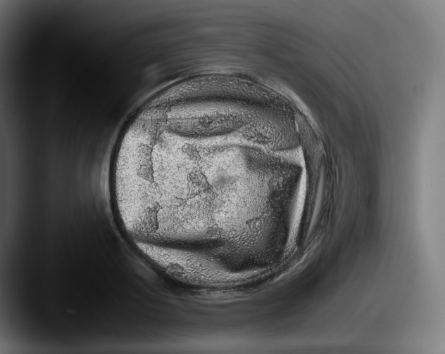 X0000087560795200705181123