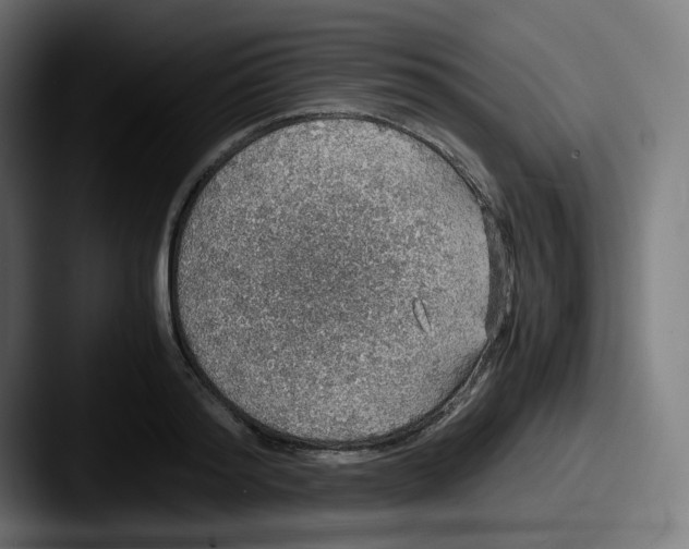 X0000087560796200705181123