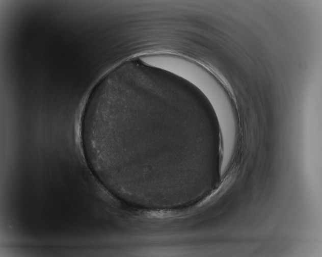 X0000087560797200705181123