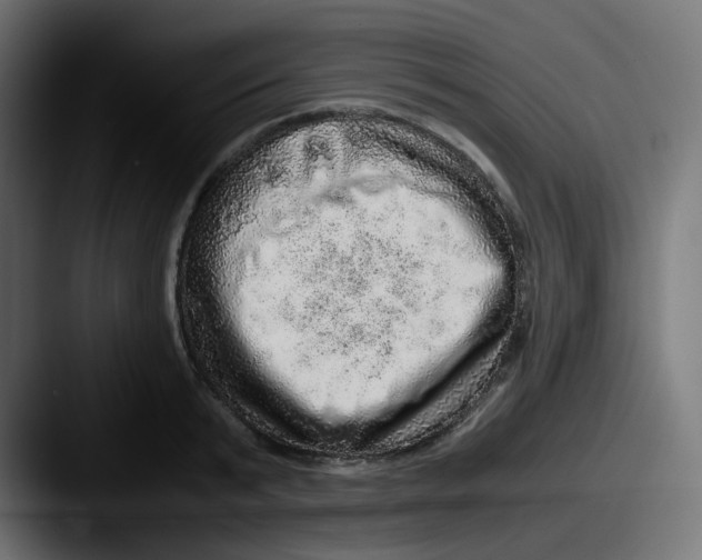 X0000087560799200705181123
