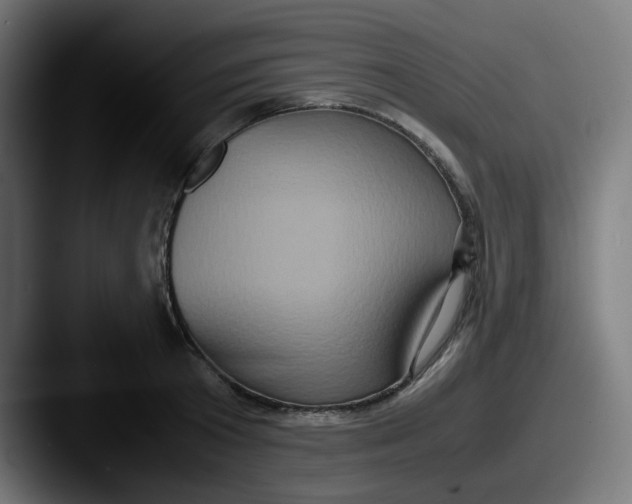 X0000087560801200705181123