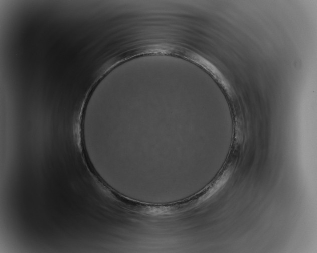 X0000087560802200705181123
