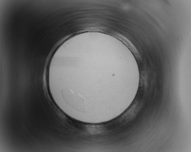 X0000087560804200705181123